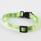 Ошейник для собак и кошек с фастексом «Авокадо», 30х1 см - Фото 3