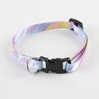 Ошейник для собак и кошек с фастексом «Листья», 30х1 см - Фото 2