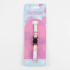 Ошейник для собак и кошек с фастексом «Листья», 30х1 см - Фото 4