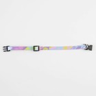 Ошейник для собак и кошек с фастексом «Листья», 30х1 см - Фото 6