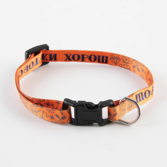 Ошейник для собак и кошек с фастексом «Чертовски хорош», 30х1 см - Фото 1