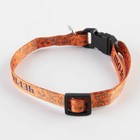 Ошейник для собак и кошек с фастексом «Чертовски хорош», 30х1 см - Фото 2