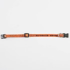 Ошейник для собак и кошек с фастексом «Чертовски хорош», 30х1 см - Фото 5