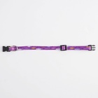 Ошейник для собак и кошек с фастексом «Рыбки», 30х1 см - Фото 6