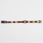 Ошейник для собак и кошек с фастексом «Пчёлы», 30х1 см - Фото 5