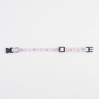 Ошейник для собак и кошек с фастексом «Ласточки», 30х1 см - Фото 6