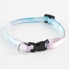 Ошейник для собак и кошек с фастексом «Моя радость», 30х1 см - Фото 2