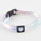 Ошейник для собак и кошек с фастексом «Моя радость», 30х1 см - Фото 3