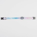 Ошейник для собак и кошек с фастексом «Моя радость», 30х1 см - Фото 6