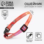 Ошейник для собак и кошек с фастексом «Дикий и пушистый», 30х1 см - Фото 1