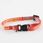 Ошейник для собак и кошек с фастексом «Дикий и пушистый», 30х1 см - Фото 2