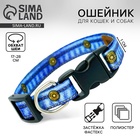 Ошейник для собак и кошек с фастексом «Любимчик», 30х1 см - Фото 1