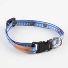 Ошейник для собак и кошек с фастексом «Любимчик», 30х1 см - Фото 2