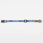 Ошейник для собак и кошек с фастексом «Любимчик», 30х1 см - Фото 6