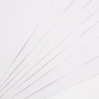 Картон белый, А4, 8 листов, немелованный, односторонний, в папке, 220, г/м², Смешарики - фото 8975477