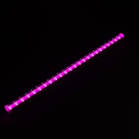 

Фитосветильник светодиодный GENERAL GLF1, 8 Вт, 572 мм, IP40, 230 В, мультиспектральный 76885