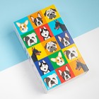 Набор детских носков KAFTAN «Гав-гав», 3 пары, размер 16-18 - фото 53138985