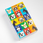 Набор детских носков KAFTAN «Гав-гав», 3 пары, размер 16-18 - фото 53138987