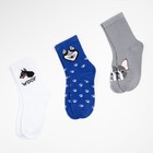 Носки детские KAFTAN «Гав-гав», набор 3 пары, размер 18-20 - фото 46302625