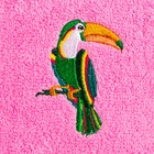 Набор полотенец Этель "Попугай" 30х30 см-3шт, 100% хлопок 340 г/м2 - фото 41993407