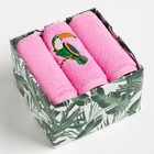 Набор полотенец Этель "Попугай" 30х30 см-3шт, 100% хлопок 340 г/м2 - фото 41993409