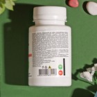 Биологический фунгицид «Триходермин», от корневых гнилей, 90 г - Фото 2