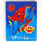 Дневник школьный, 1-11 класс в твердой обложке, 48 л «Супергерой», Человек-паук - фото 9581900