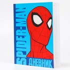 Дневник школьный, 1-11 класс в мягкой обложке, 48 л «Супер-мен», Человек-паук - Фото 4