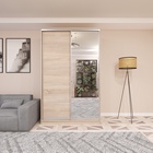 Шкаф–купе «Хит–22-15–15», 1500×620×2200 мм, цвет дуб сонома  (артикул 4786991)  большой выбор товаров оптом и в розницу по низким ценам с доставкой