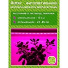 Фитосветильник светодиодный Ritter, T5, 10Вт, 572 мм, IP20, на прищепке, красно-синий спектр 7779666 - фото 2359680