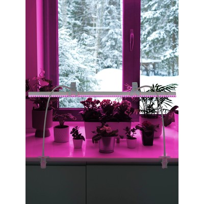 Фитосветильник светодиодный Ritter, T5, 14Вт, 872 мм, IP20, на прищепке, красно-синий спектр