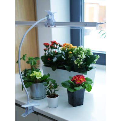 Фитосветильник светодиодный Ritter, T5, 14Вт, 872 мм, IP20, на прищепке, красно-синий спектр