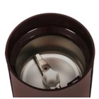 Кофемолка BQ CG1001, 150 Вт, 50 г, коричневая - фото 51345255 Кофемолка BQ CG1001, 150 Вт, 50 г, коричневая - фото 51345255