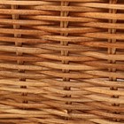 Корзина плетеная, 46х37х28 см, ротанг 7749962