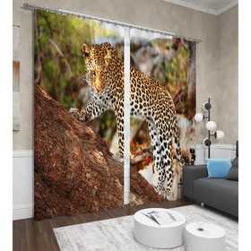 

Фотошторы «Грация», размер 145x260 см, 2 шт, блэкаут