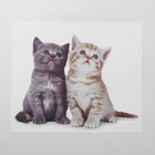 Салфетка для очков TAO41 «Котята», 15×18см, цвет бежевый - Фото 2