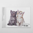 Салфетка для очков TAO41 «Котята», 15×18см, цвет бежевый - Фото 3