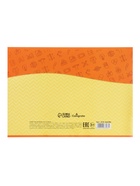 Набор первоклассника Calligrata «Космос», 40 предметов, в папке, МИКС - Фото 38