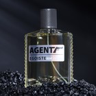 Парфюмерная вода мужская Agent Egoiste, 100 мл (по мотивам Egoiste Platinum (Chanel) - Фото 2