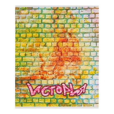 Предметная тетрадь по истории «Апплика. Кирпич», 40 листов, в клетку, со справочным материалом, бумажная обложка