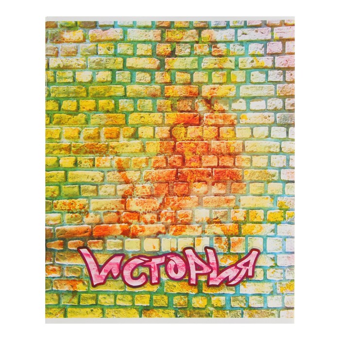 Предметная тетрадь по истории «Апплика. Кирпич», 40 листов, в клетку, со справочным материалом, бумажная обложка - Фото 1