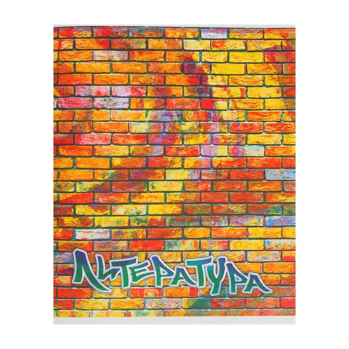 Предметная тетрадь по литературе «Апплика. Кирпич», 40 листов, в линейку, со справочным материалом, бумажная обложка - Фото 1