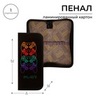 Пенал школьный, 1 секция, 9×19.5×2.5 см «Джойстик» - Фото 1