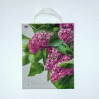 Пакет "Сиреневый цвет", полиэтиленовый, с петлевой ручкой, 35 х 28 см, 55 мкм - фото 299392617