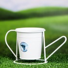 Кашпо-лейка "Поздравляю" МИКС, 9,5х7х9,5см - фото 37200219