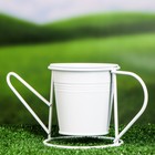 Кашпо-лейка "Поздравляю" МИКС, 9,5х7х9,5см - фото 37200221