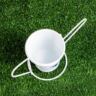 Кашпо-лейка "Поздравляю" МИКС, 9,5х7х9,5см - фото 37200222