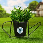 Кашпо-лейка "Поздравляю" МИКС, 9,5х7х9,5см - фото 37200223