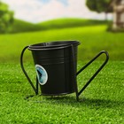 Кашпо-лейка "Поздравляю" МИКС, 9,5х7х9,5см - фото 37200225