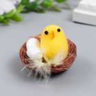 Сувенир пасхальный "Цыплёнок в гнёздышке с яичками"5х5х4см - фото 9661578